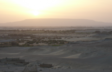 Oase Dakhla